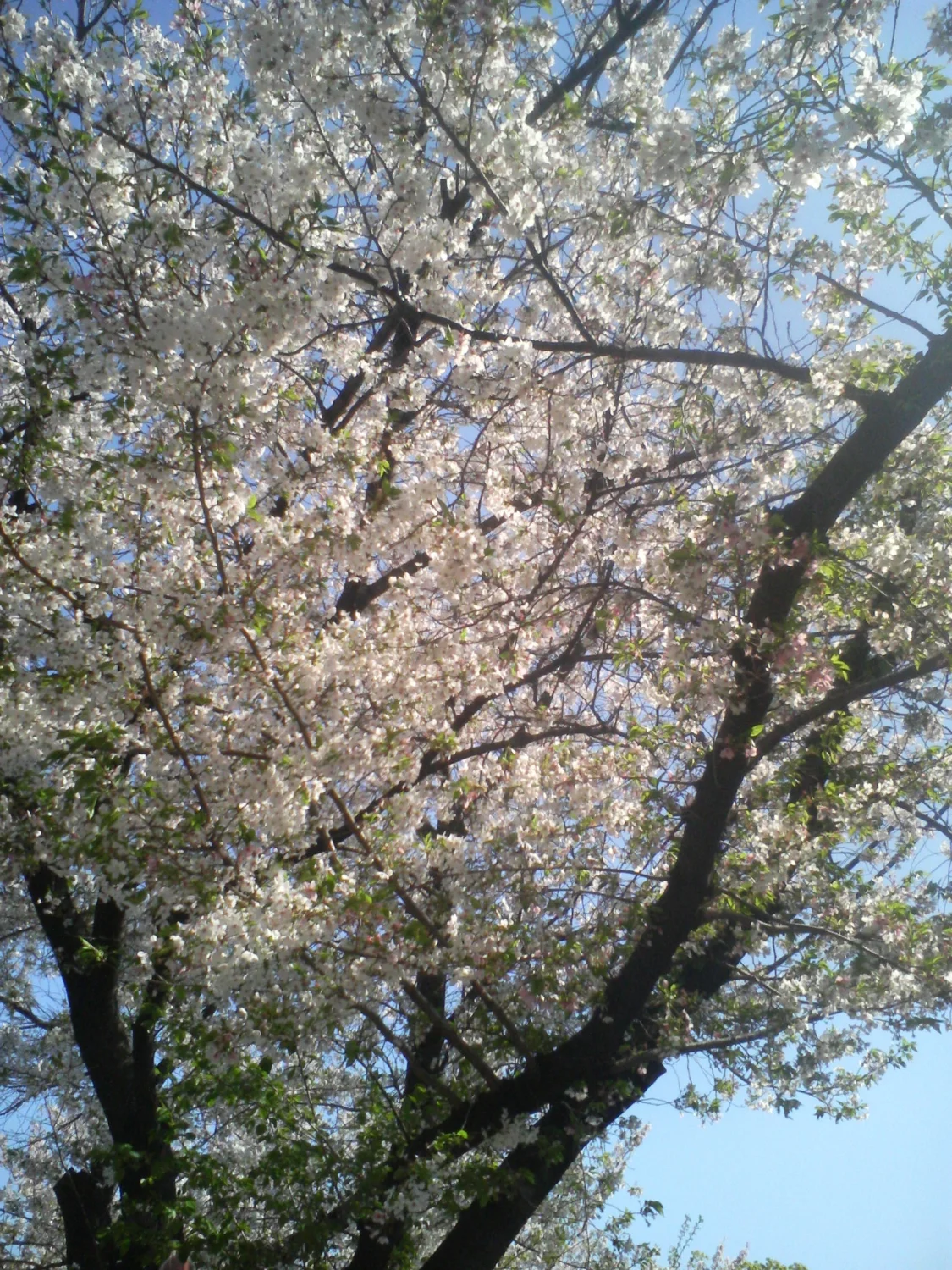 (キャプション自動取得対象外)